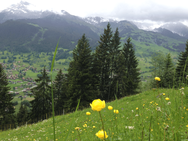 Grindelwald8