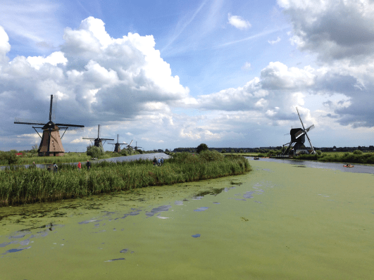 kinderdijk2