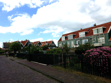 marken5